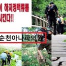 아나파적맥통증의원 Daum카페