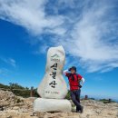 영 농장 이미지