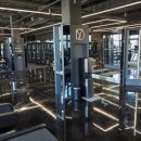 더헬스 앤 피티 이미지