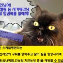 미소로동물병원 이미지