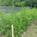 리얼팜부동산중개 이미지