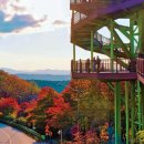 “도로 자체가 관광지”…단풍•드라이브 동시에 즐기는 굽이굽이 이색여행지 이미지