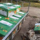 옥전농장 이미지