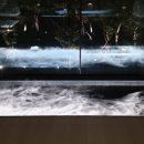 희미장원 - 장성군 | 희미장원