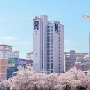 본호텔 티스토리
