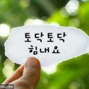 클린한정주유소 | '털린 내 정보 찾기' 사용 방법, 후기!