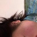 백사장하나마트 | 일본 시라하마, 오사카 3박4일 가족여행 / 일본 오사카 근교 소도시 후기(1)