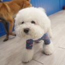 무무유치원 이미지