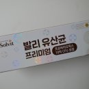 새싹보리 유산균 솔빛피앤에프 발리 유산균 프리미엄 섭취 후기