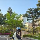 왕비막창 이미지