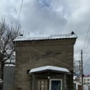 여주-0261 이미지