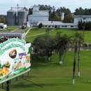 브라질 정부, 상업용 가금류에서 조류독감 발생 가능성 배제 이미지