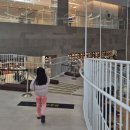 빅초이스 노래연습장 | [부산/부산진구] 롯데시네마 부산본점 리클라이너관 '아바타3 /주토피아2' 관람후기