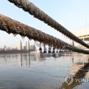 뚝섬한강공원-39 이미지