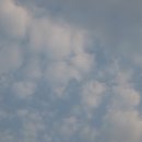 인성자동차서비스 이미지