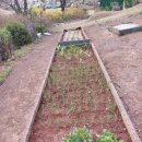 드림레이크펜션 이미지