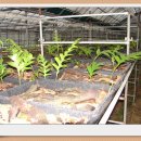 밝은농장 이미지