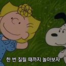 천진낭만 이미지