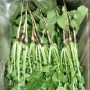 (주)열무 이미지