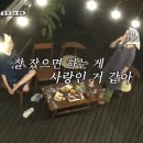 달콤왕가탕후루탕정역점 이미지