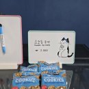 갤러리 PC방 | 대구 데이트 코스 추천 대구 동성로 고양이 카페 양이랑커피랑 후기