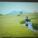 은애농장 이미지