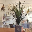 여주-0704 이미지