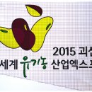 ﻿2015 세계유기농엑스포 기념 유색벼 모내기 이미지