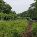 재경농장 이미지