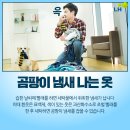 하얀집세탁소 이미지