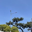 중부목장 이미지