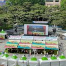 제36회 동성로축제 이미지