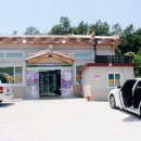 지리산인월송 이미지