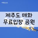 걸매축구장-2 | 제주도 매화축제 걸매생태공원, 칠십리시공원