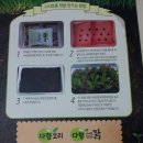 다향어린이집 이미지