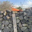 옥수회관 | 제주 감성 폭발하는 구옥 카페 |골목 카페 옥수 내 돈 내산 후기