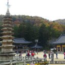 평창이야기 이미지