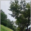 해오름근린공원 1 네이버블로그