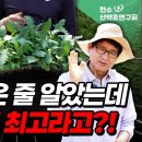 간에만 좋은 줄 알았는데 '정력'에도 최고라고?! 이미지