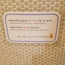 삼성주니어치과 이미지