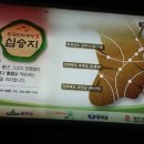 천하명당
