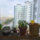 사랑이꽃피는작은도서관 이미지