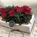 은하꽃집 이미지