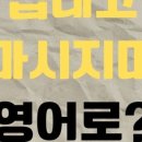 배*열 이미지