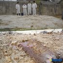 천지약품(주) 이미지