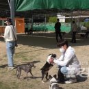애견운동공원(하절기) 경상일보