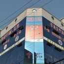 용인대 합기도 이미지