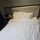 나무늘보호텔 창원명서점 | [창원 숙소 추천] 명서 호텔 벅스 솔직 후기와 장단점 8가지