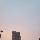 용산-이촌-268 | 취준하다가 외국가서 한국 일상 많이 없던 10월