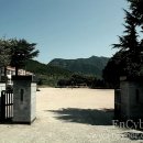 중남(병설)유치원 이미지